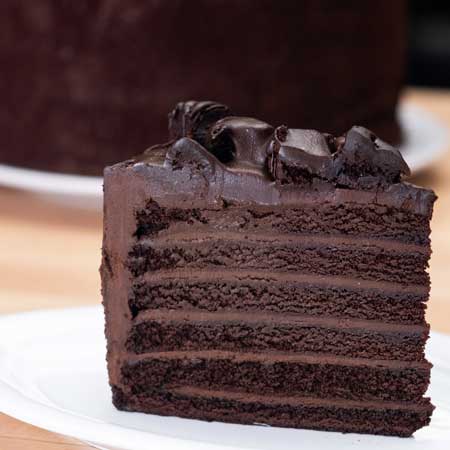 Chocolate Insanity Cake & Slice